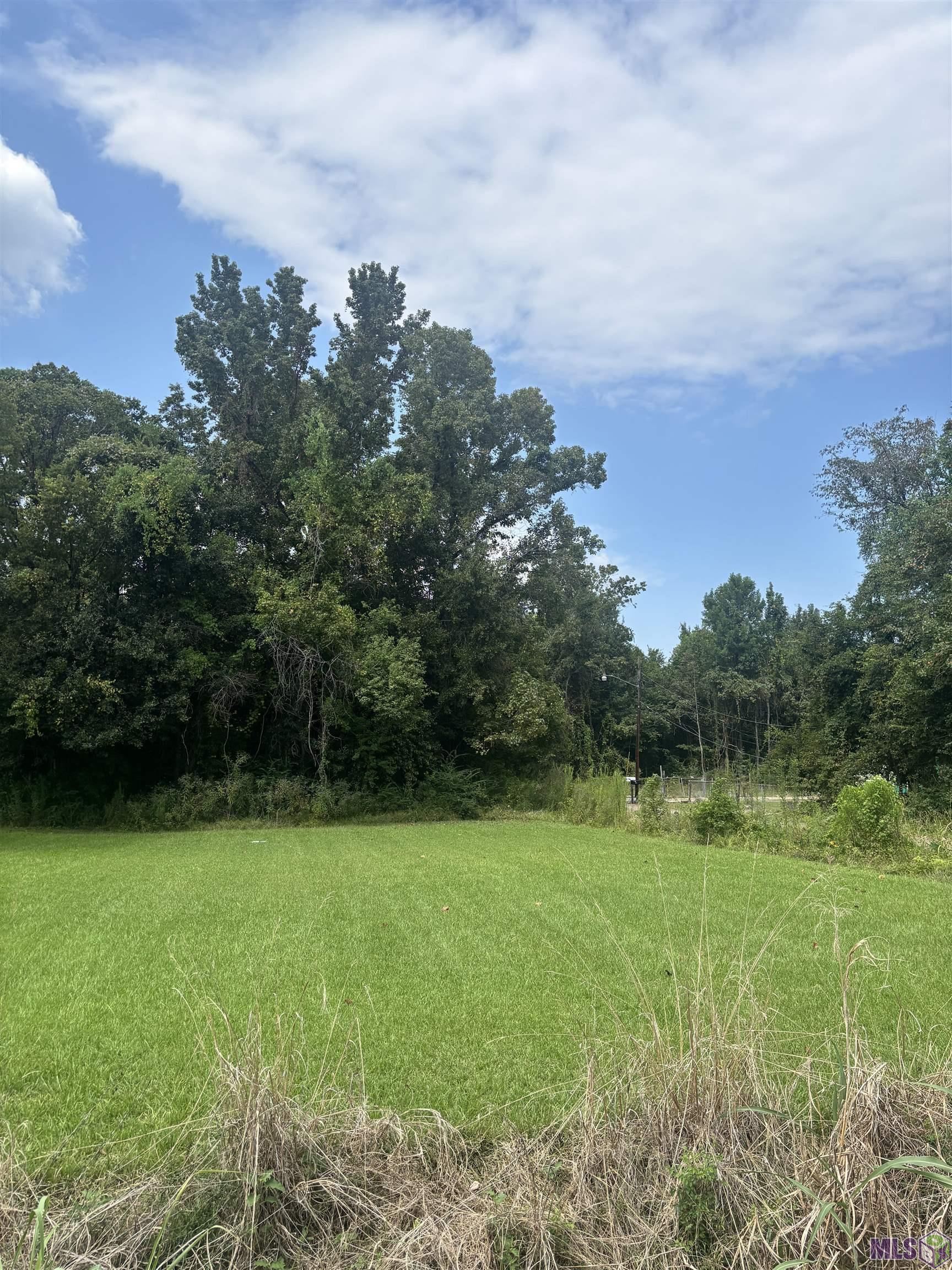 881 St John Lane Baton Rouge, LA 70807 - Photo 2 of 4
