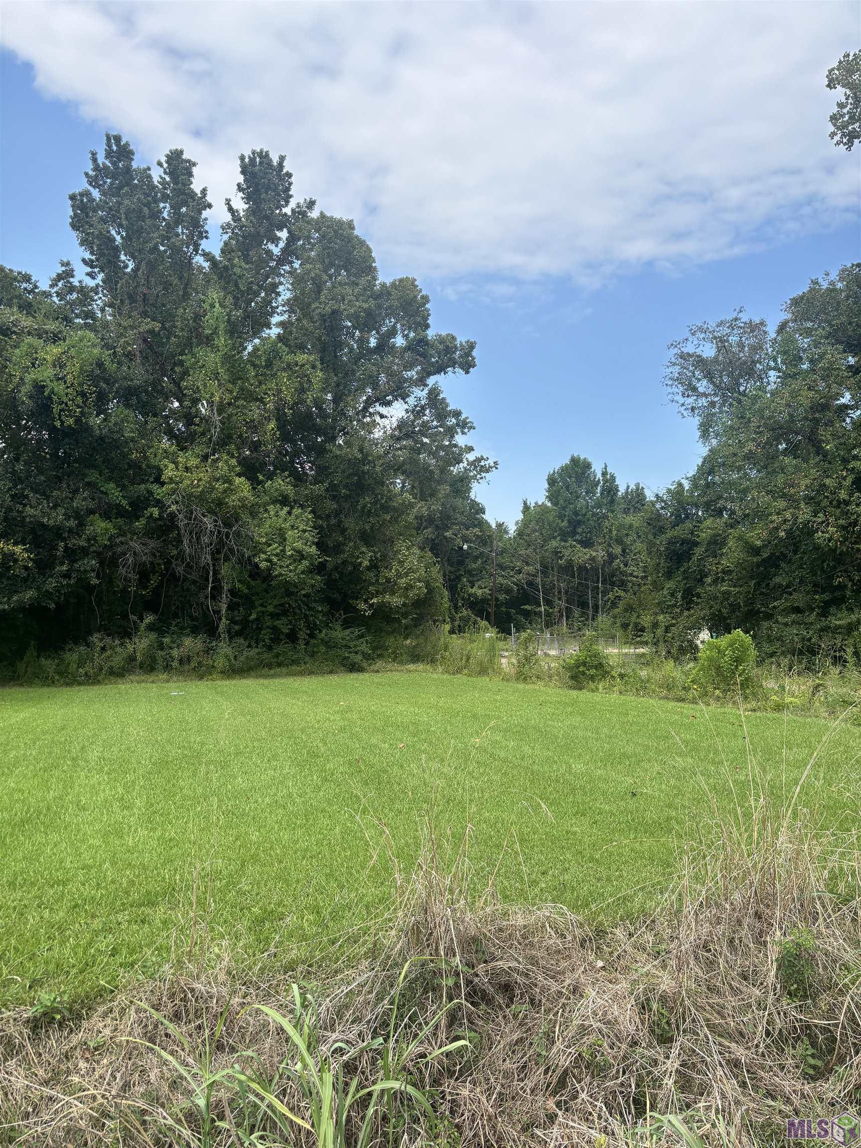 881 St John Lane Baton Rouge, LA 70807 - Photo 3 of 4