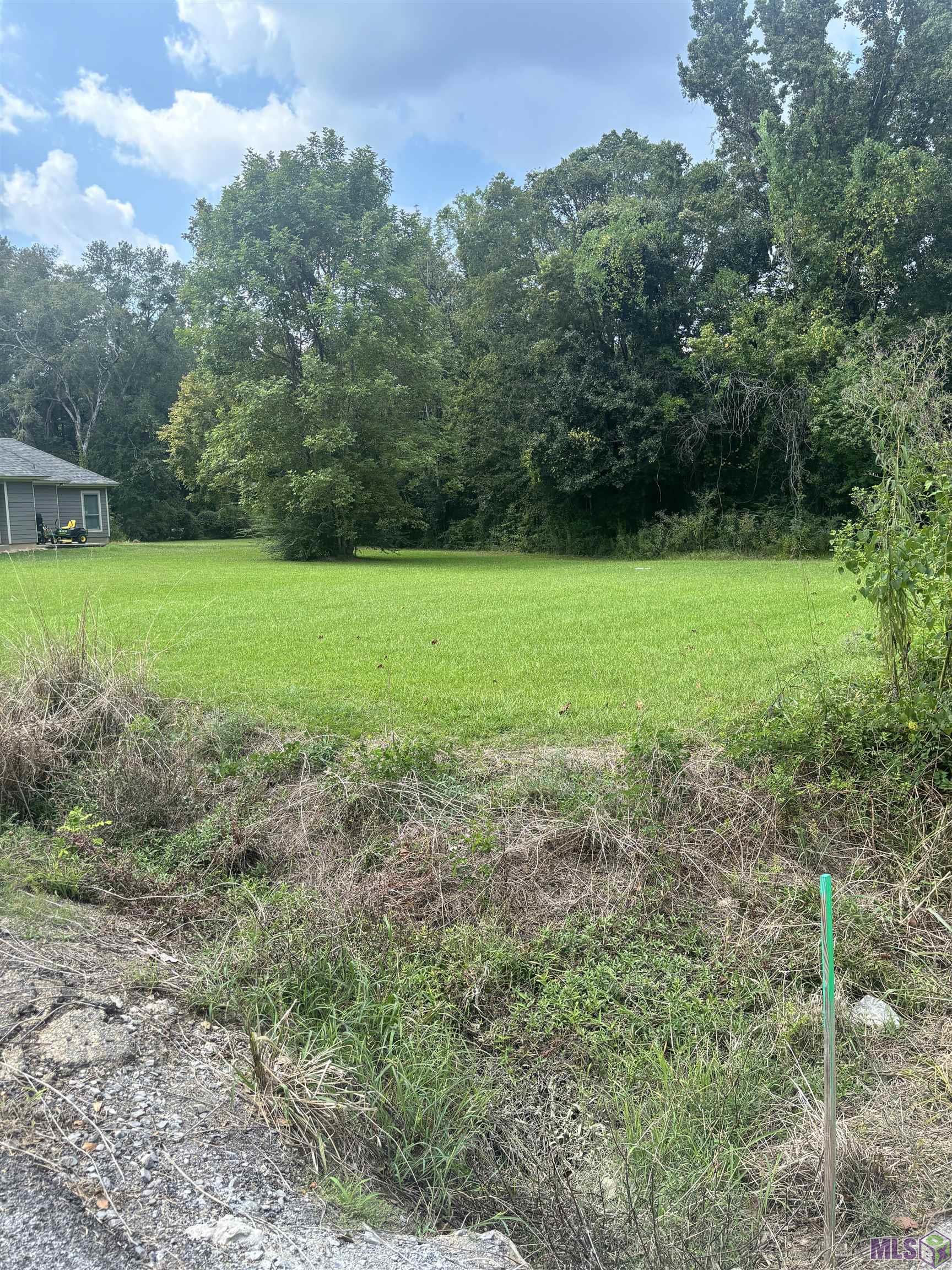 881 St John Lane Baton Rouge, LA 70807 - Photo 4 of 4