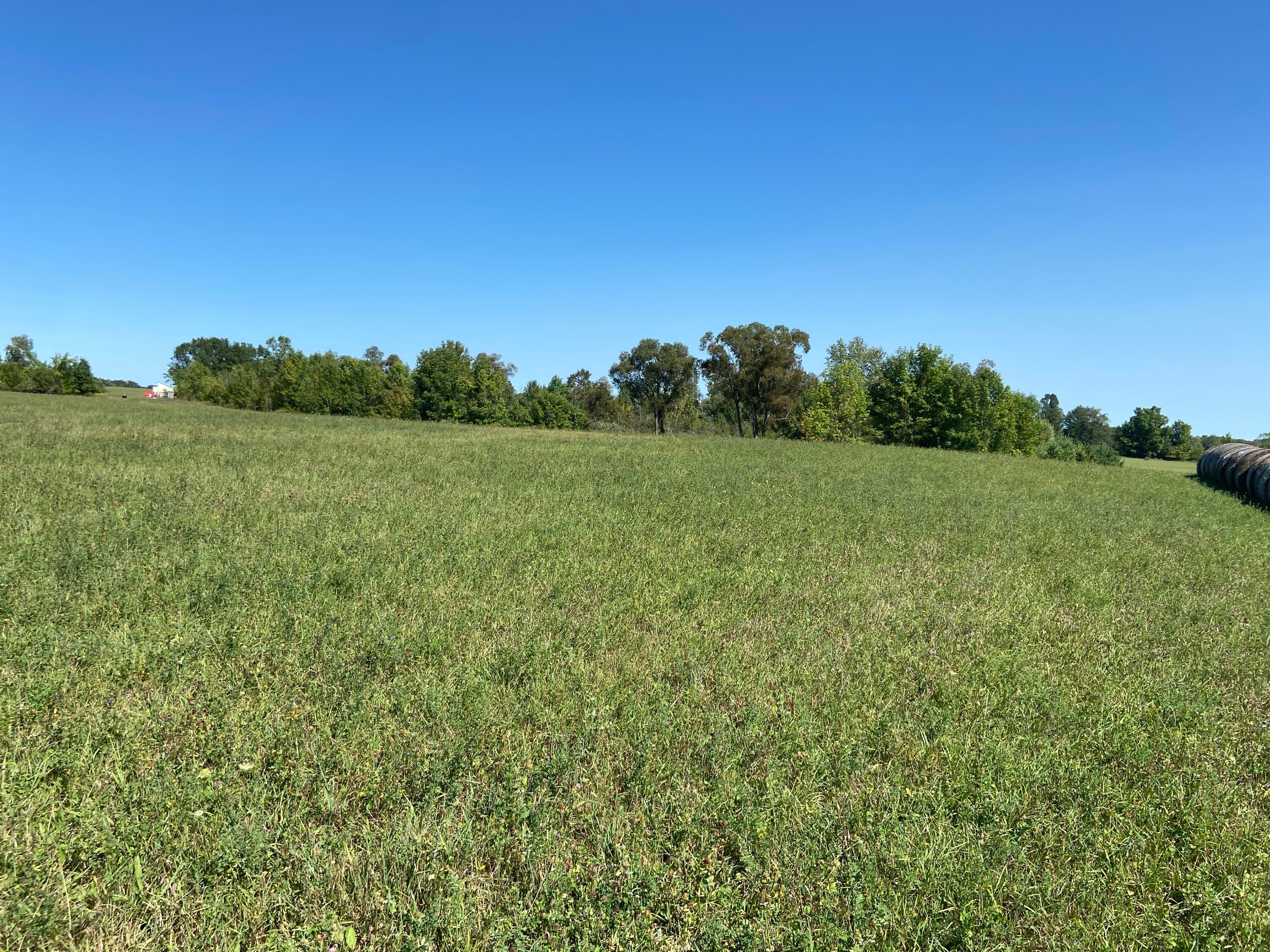 5310 Greenwood Road Gladwin, MI 48624 - Photo 119 of 138 Gallery Image 119
