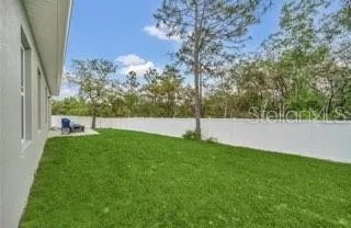 a view of a park