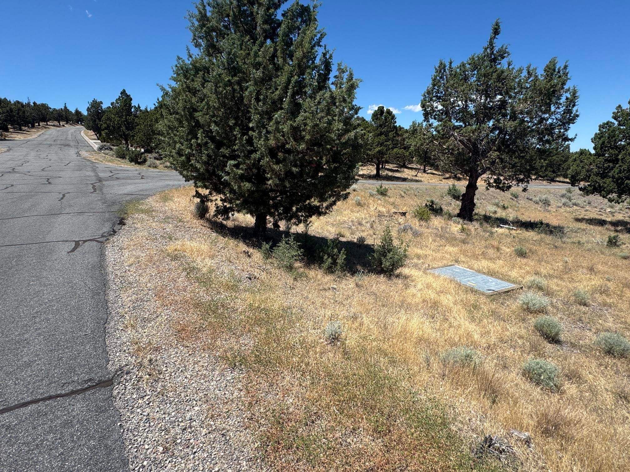 9-2 U Ridge Weed, CA 96094 - Photo 4 of 41 Gallery Image 4