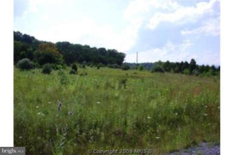 0 Mountain Pond Road Front Royal, VA 22630 - Photo 2 of 3 Unique #1