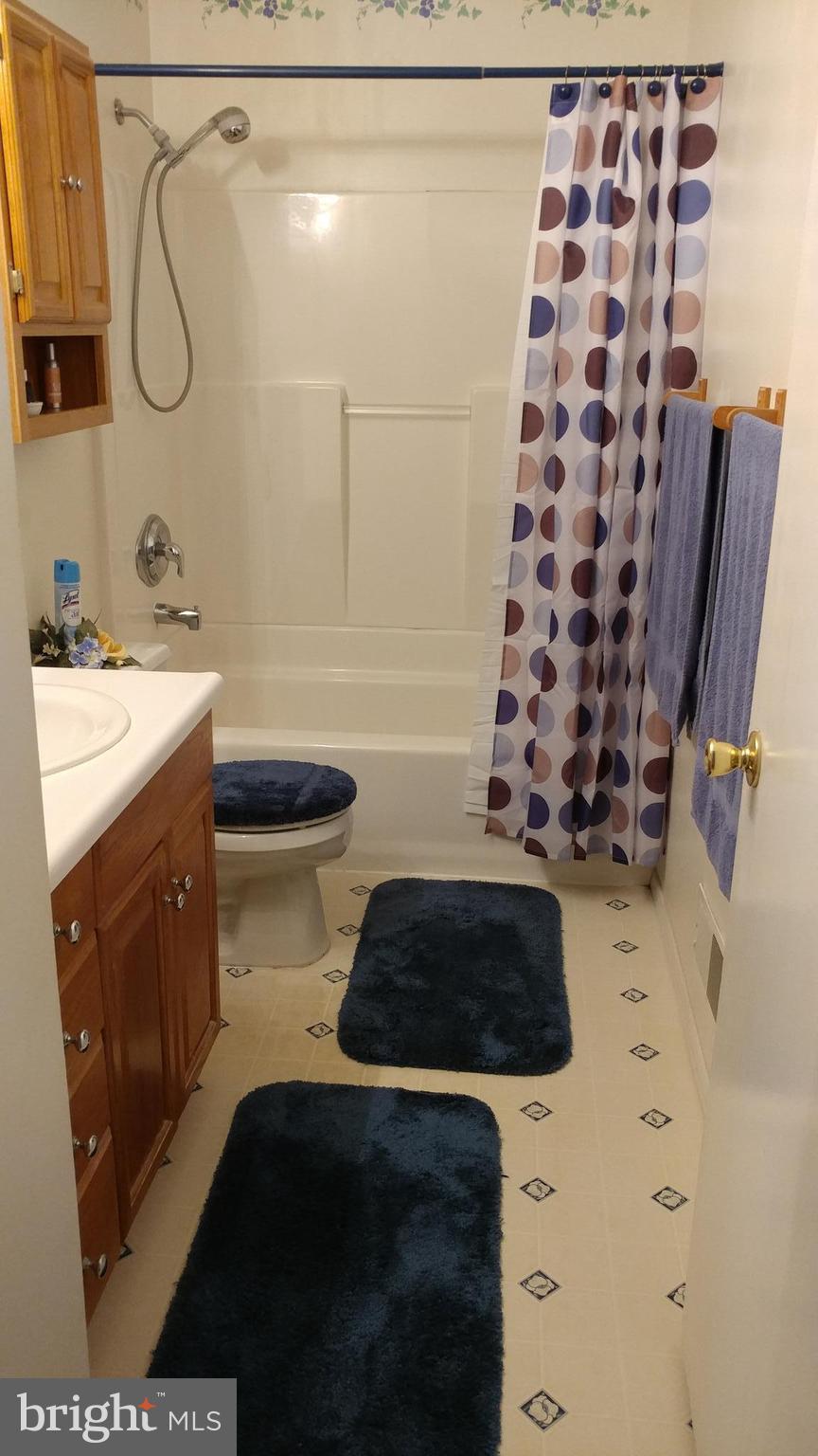 6002 Chesworth Road Baltimore, MD 21228 - Photo 13 of 26 a bathroom with a bathtub and shower