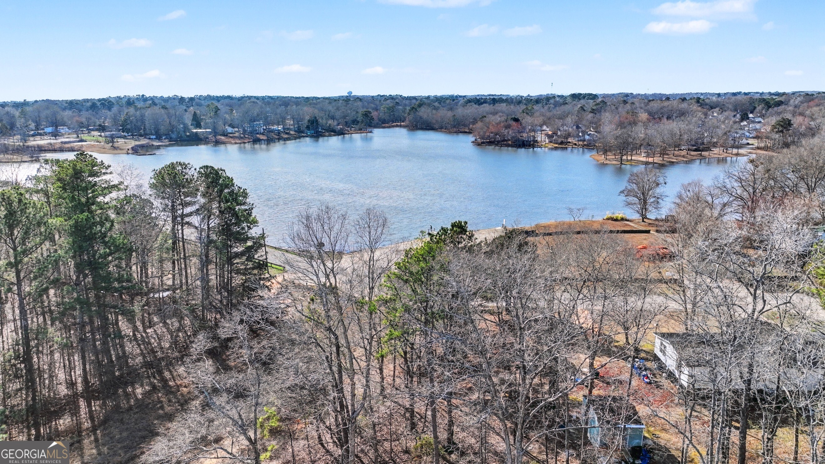 411 Loblolly Ridge Locust Grove, GA 30248 - Photo 42 of 43 a view of a lake in middle of forest