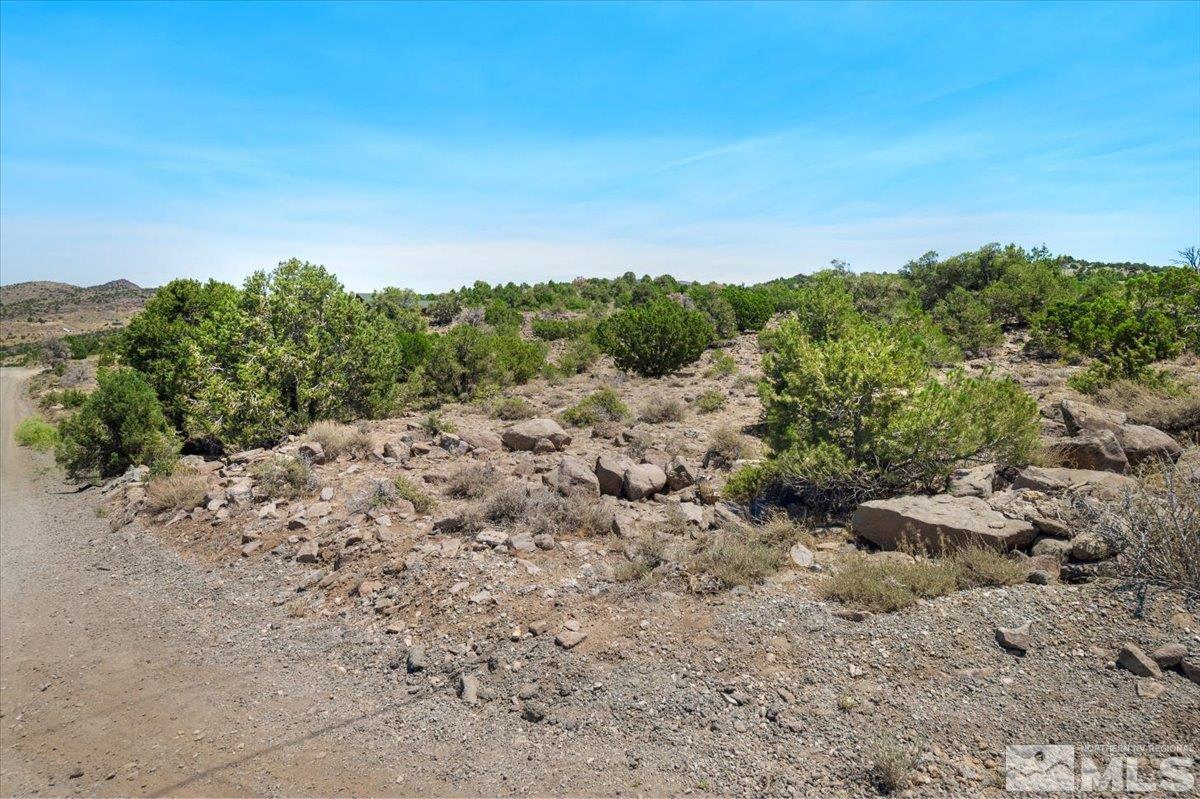 3620 Fryingpan Road Reno, NV 89521 - Photo 12 of 20 Photo 12