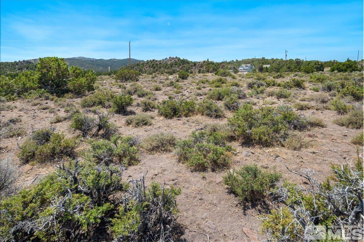 3620 Fryingpan Road Reno, NV 89521 - Photo 13 of 20 Photo 13