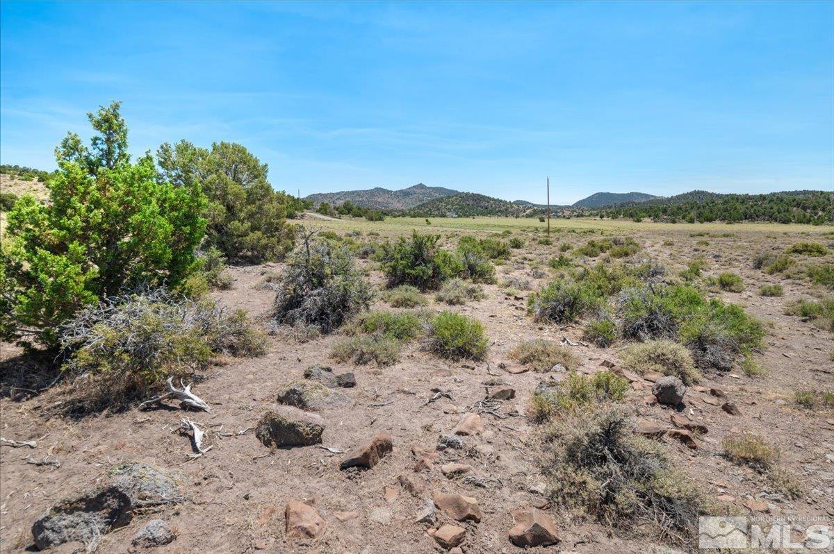 3620 Fryingpan Road Reno, NV 89521 - Photo 14 of 20 Photo 14