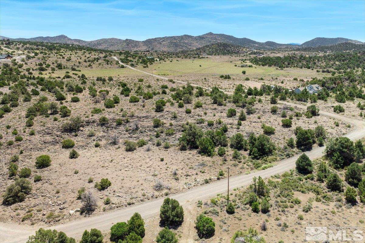 3620 Fryingpan Road Reno, NV 89521 - Photo 4 of 20 Photo 4