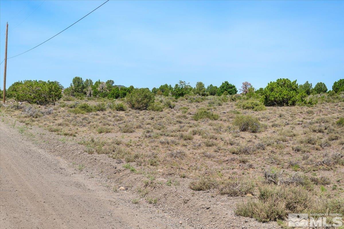 3620 Fryingpan Road Reno, NV 89521 - Photo 6 of 20 Photo 6
