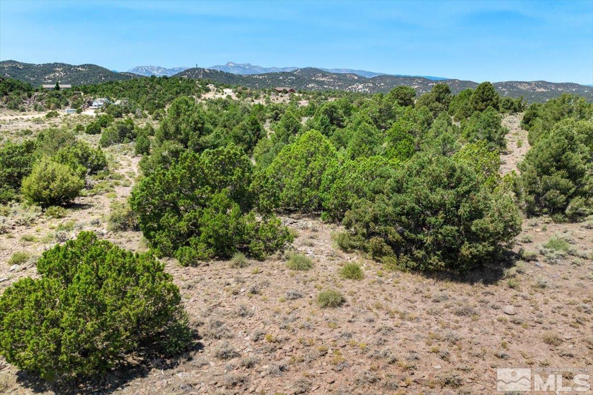 3620 Fryingpan Road Reno, NV 89521 - Photo 9 of 20 Photo 9
