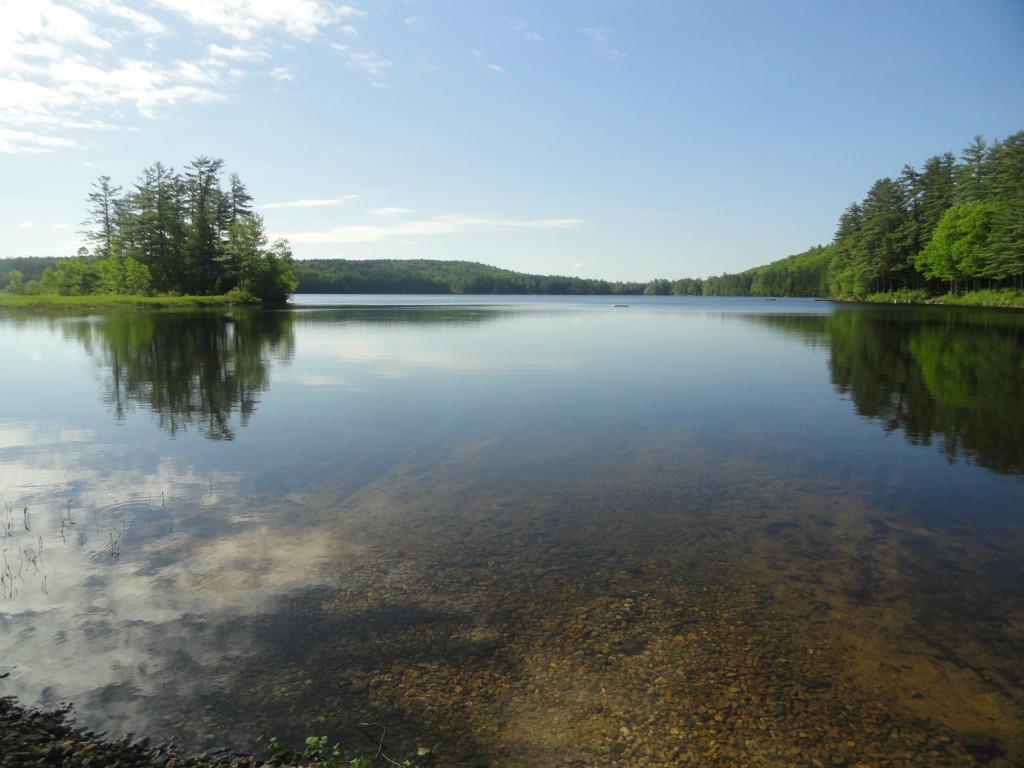 38 Wint Road Harrison, ME 04040 - Photo 26 of 34 Stearns Pond taken from the abutting...