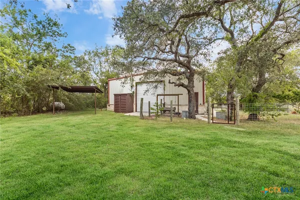 a view of a large garden with plants and large trees
