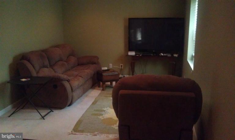 9026 Chestnut Grove Road Frederick, MD 21701 - Photo 19 of 25 Lower Level Rec Room/Family Room