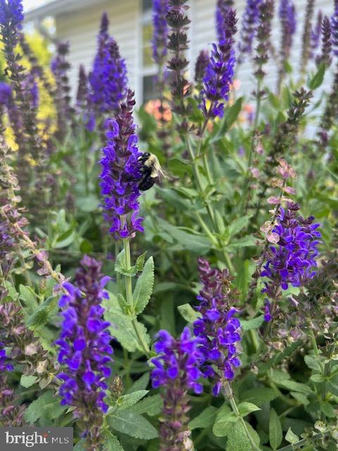 3416 Fox Mill Road Oakton, VA 22124 - Photo 26 of 32 exteria