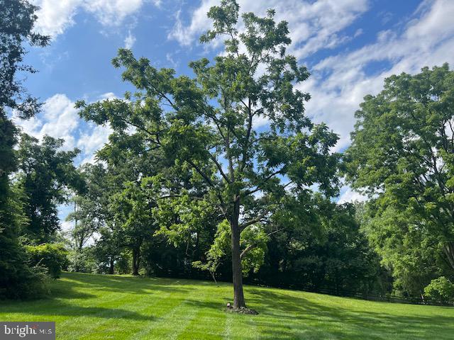 3416 Fox Mill Road Oakton, VA 22124 - Photo 32 of 32 lawn
