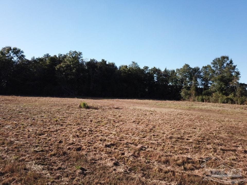6-acres 6-acres Ard Field Road Jay, FL 32565 - Photo 2 of 7