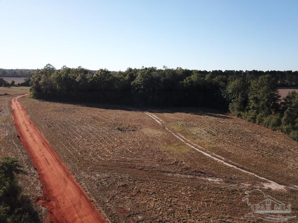 6-acres 6-acres Ard Field Road Jay, FL 32565 - Photo 3 of 7 a view of outdoor space and yard
