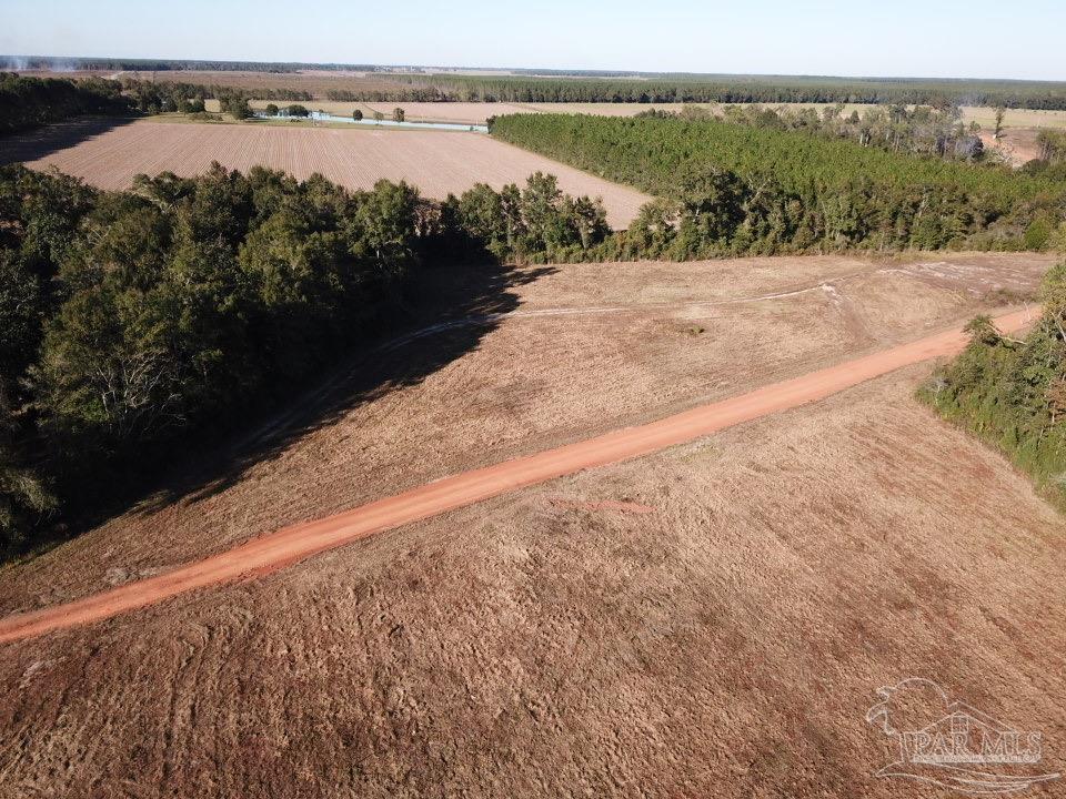 6-acres 6-acres Ard Field Road Jay, FL 32565 - Photo 4 of 7 a view of a lake with a mountain
