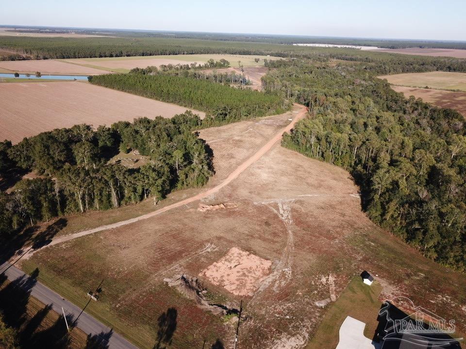6-acres 6-acres Ard Field Road Jay, FL 32565 - Photo 7 of 7 a view of a lake with a mountain
