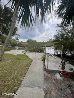 a view of a yard with palm tree