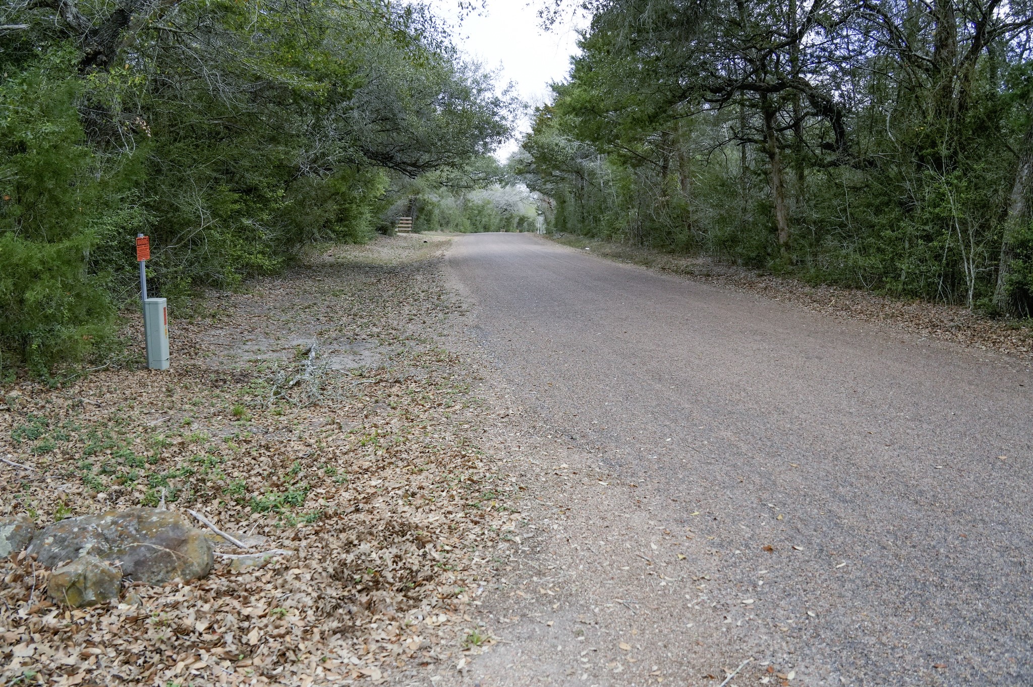 4731 Krischke Road Schulenburg, TX 78956 - Photo 10 of 40 a view of a yard with a street