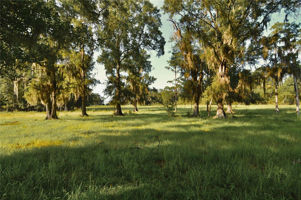 4802 Northwest 50th Road Starke, FL 32091 - Photo 54 of 75 Gallery Image 54