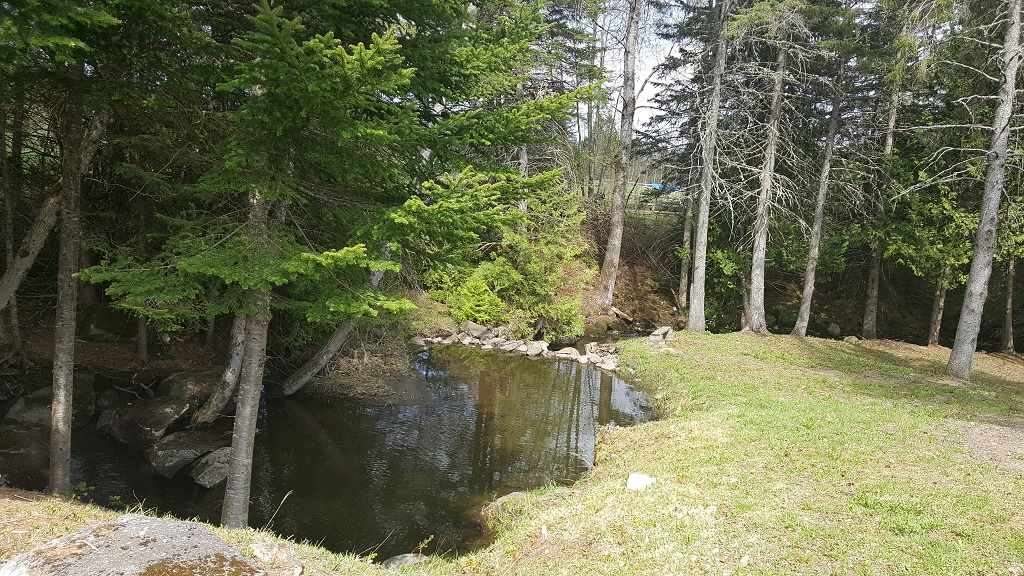129 Bear Rock Road Colebrook, NH 03576 - Photo 34 of 34