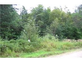 0 Sheffield Road Sutton, VT 05867 - Photo 3 of 3