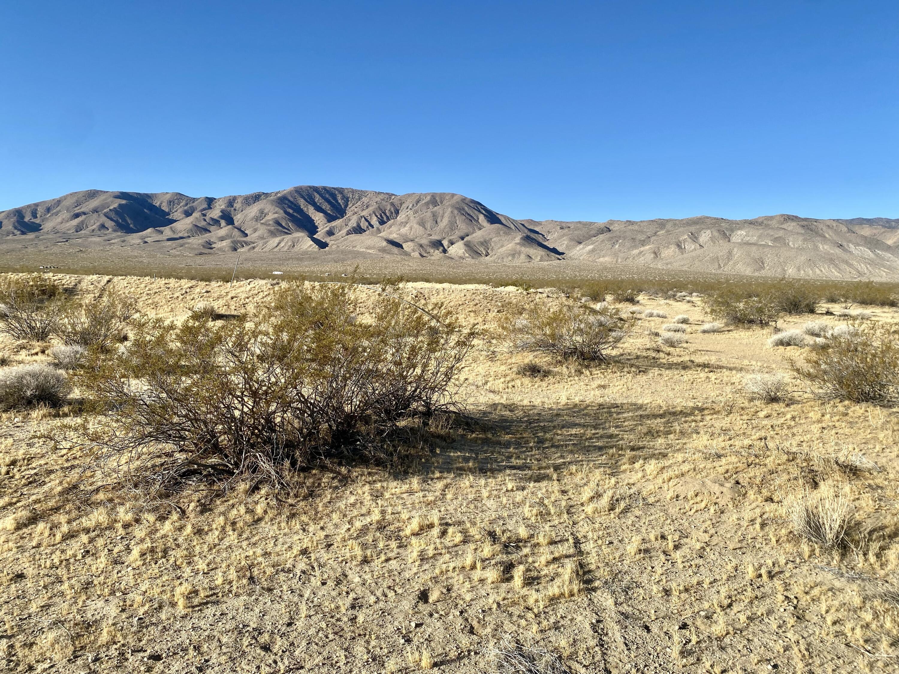 104 Joshua Tree Road Johnson Valley, CA 92285 - Photo 29 of 55 IMG_8394