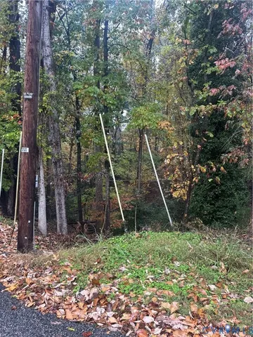a view of a backyard with a tree