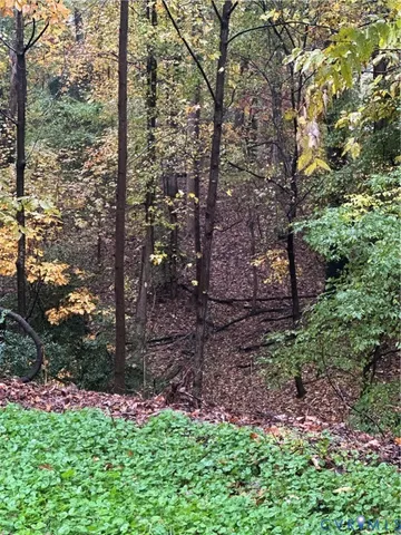a view of a garden with plants and a bench