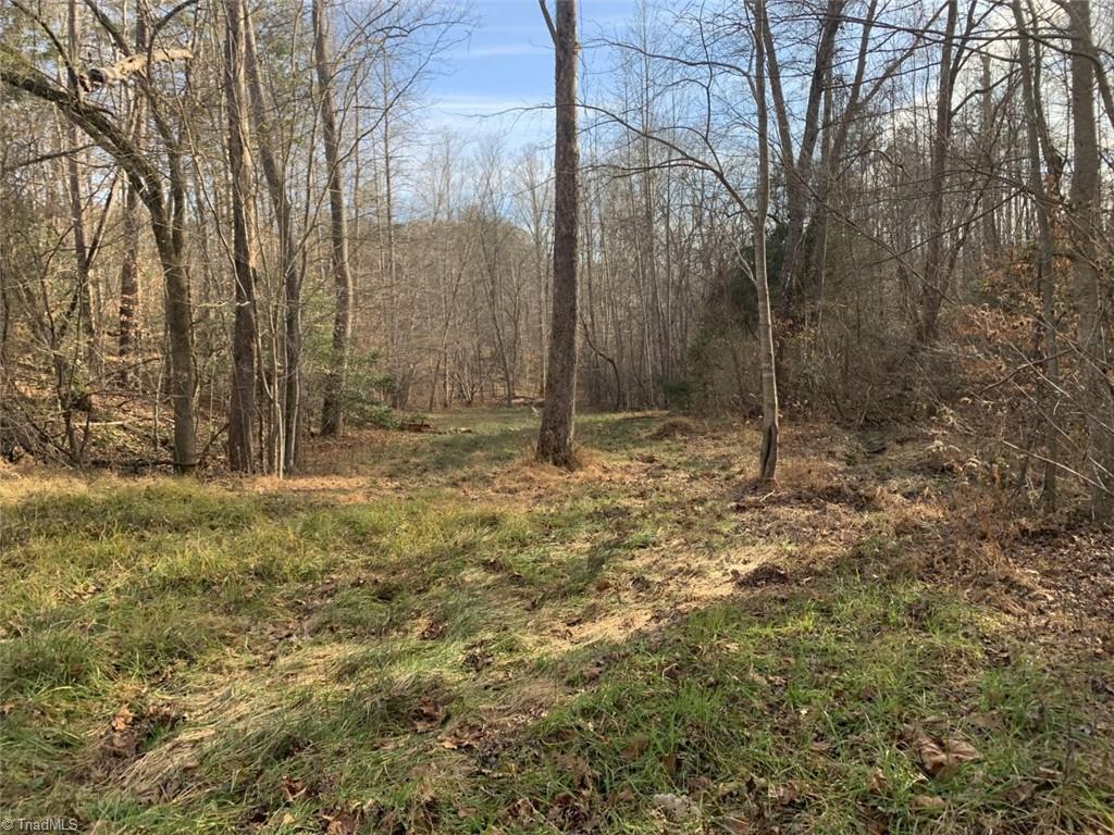 1020 Clinton Road Danbury, NC 27016 - Photo 17 of 35 Gallery Image 17