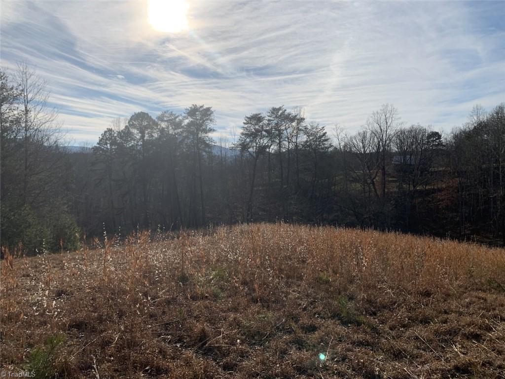 1020 Clinton Road Danbury, NC 27016 - Photo 18 of 35 Gallery Image 18