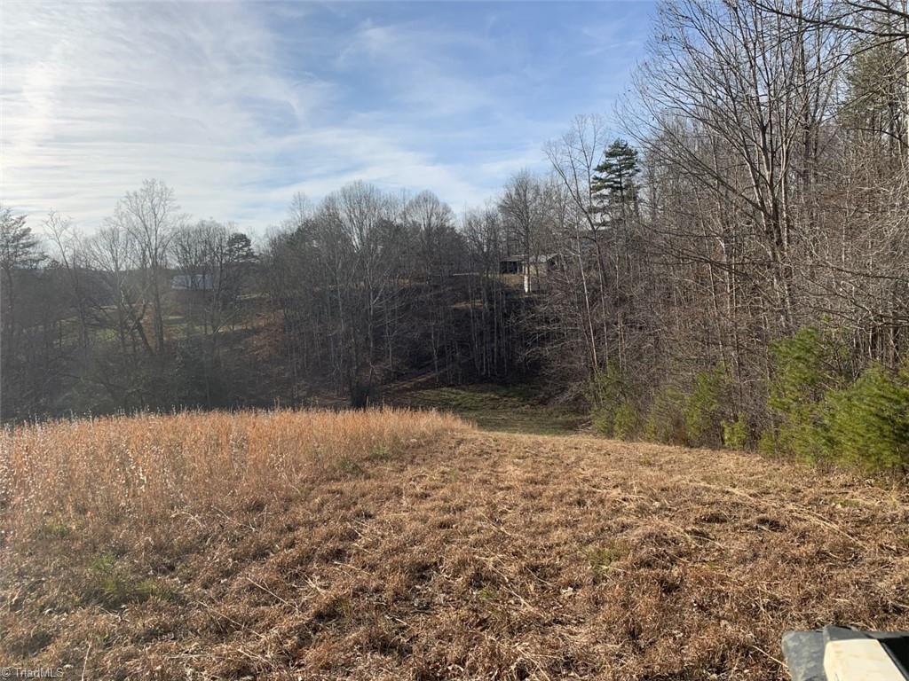 1020 Clinton Road Danbury, NC 27016 - Photo 19 of 35 Gallery Image 19