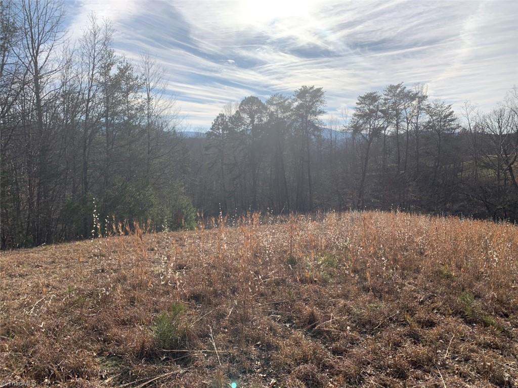 1020 Clinton Road Danbury, NC 27016 - Photo 20 of 35 Gallery Image 20