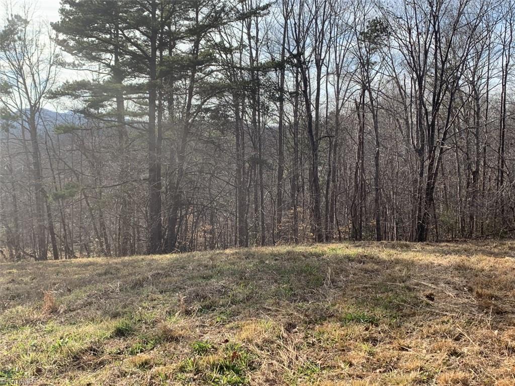 1020 Clinton Road Danbury, NC 27016 - Photo 22 of 35 Gallery Image 22
