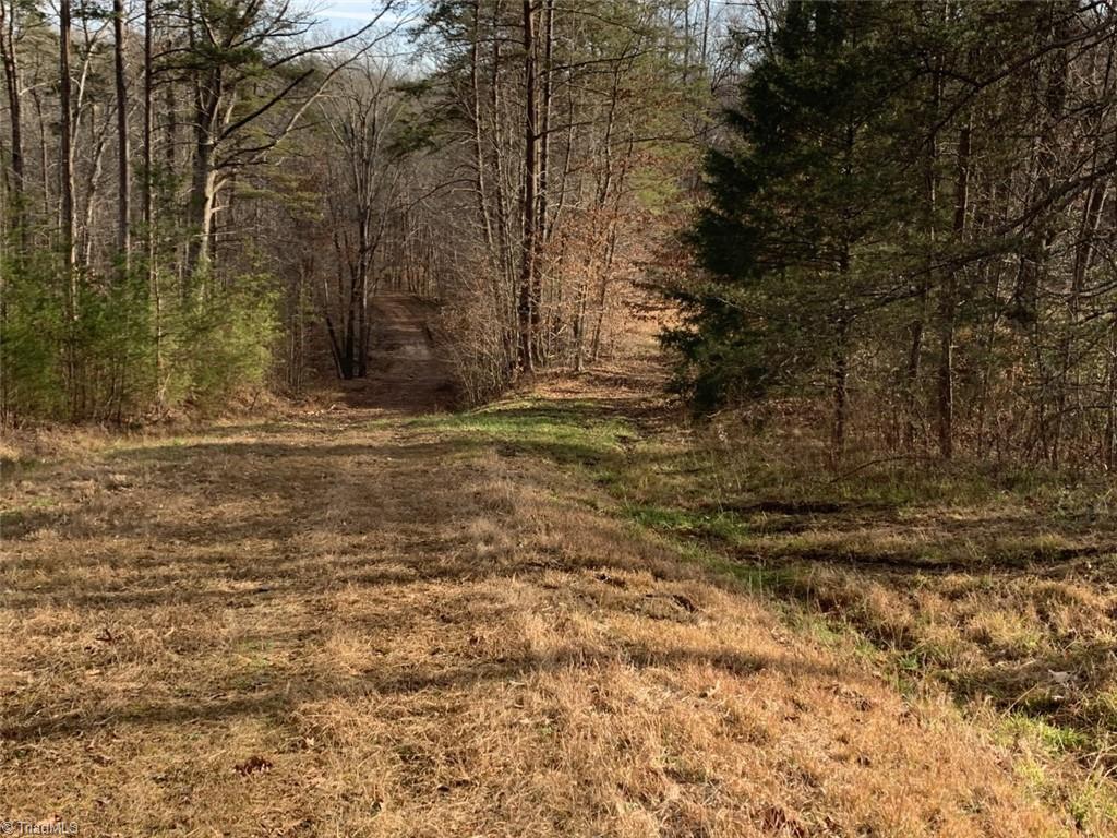 1020 Clinton Road Danbury, NC 27016 - Photo 23 of 35 Gallery Image 23