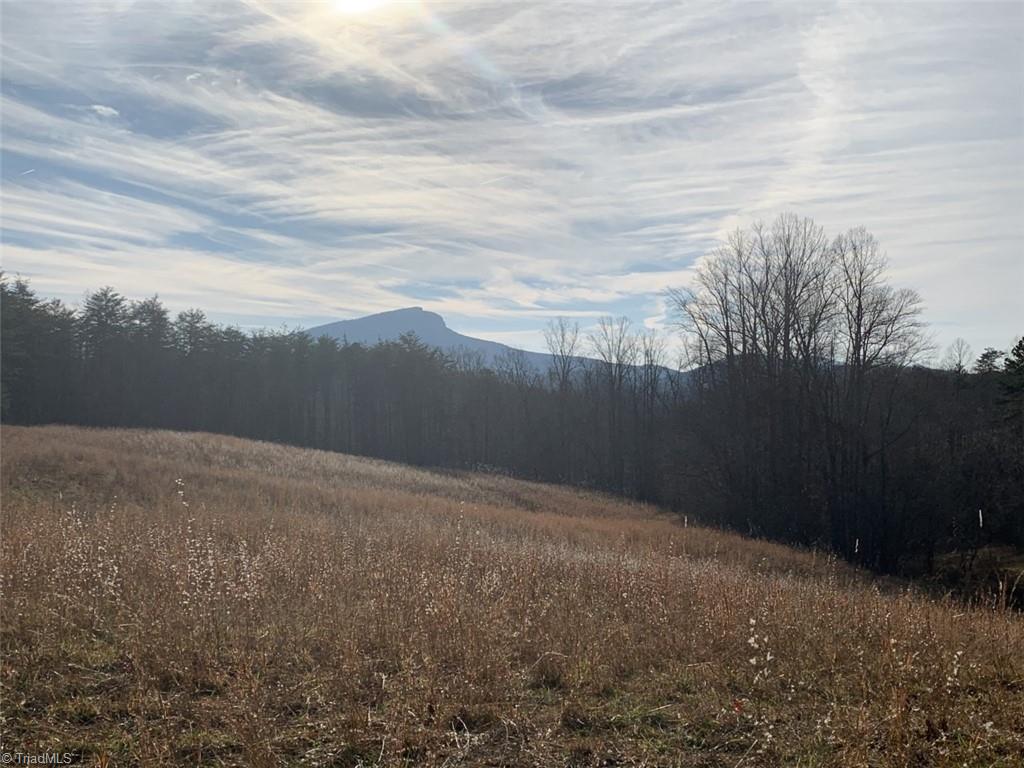 1020 Clinton Road Danbury, NC 27016 - Photo 24 of 35 Hanging Rock view