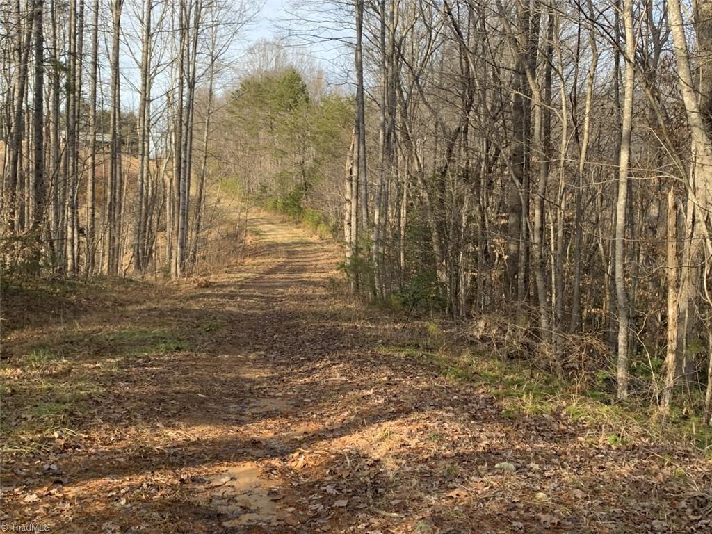 1020 Clinton Road Danbury, NC 27016 - Photo 29 of 35 Road with easement to back of property