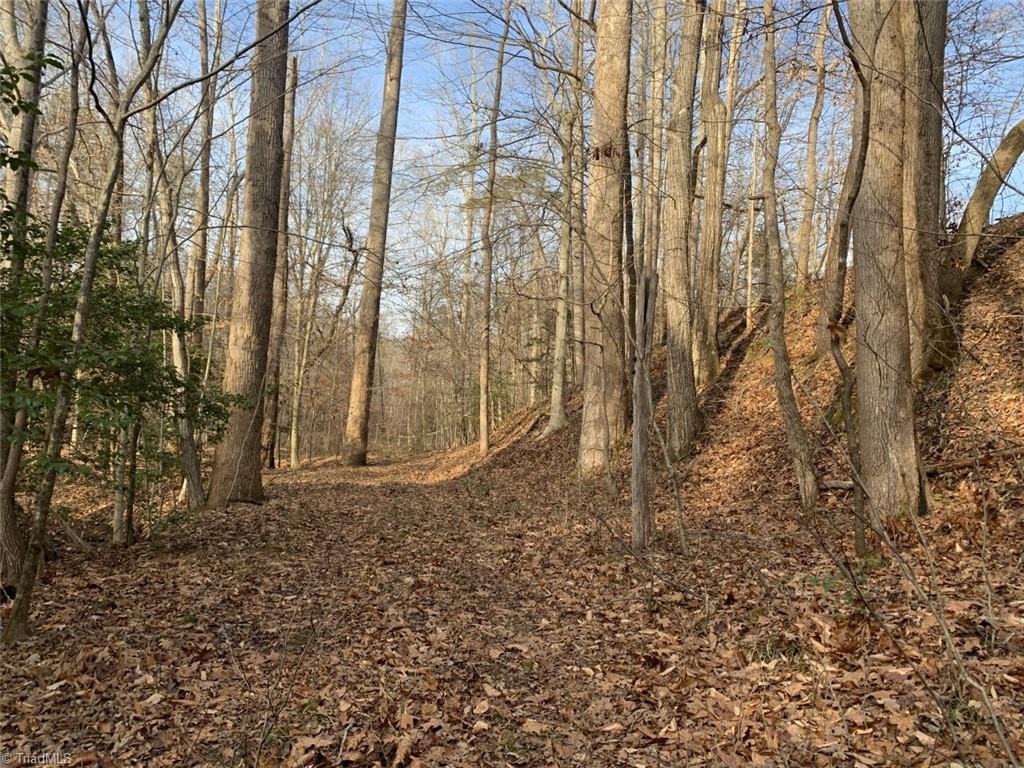 1020 Clinton Road Danbury, NC 27016 - Photo 32 of 35 Gallery Image 32
