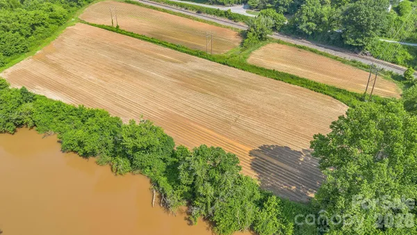 a view of a yard with plants and a lake view