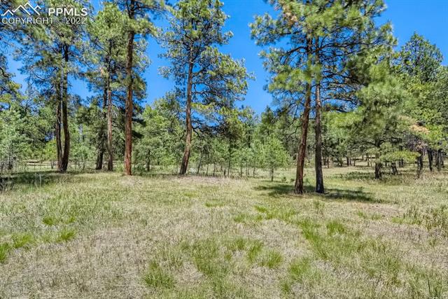7250 Burgess Road Colorado Springs, CO 80908 - Photo 26 of 37 Gallery Image 26