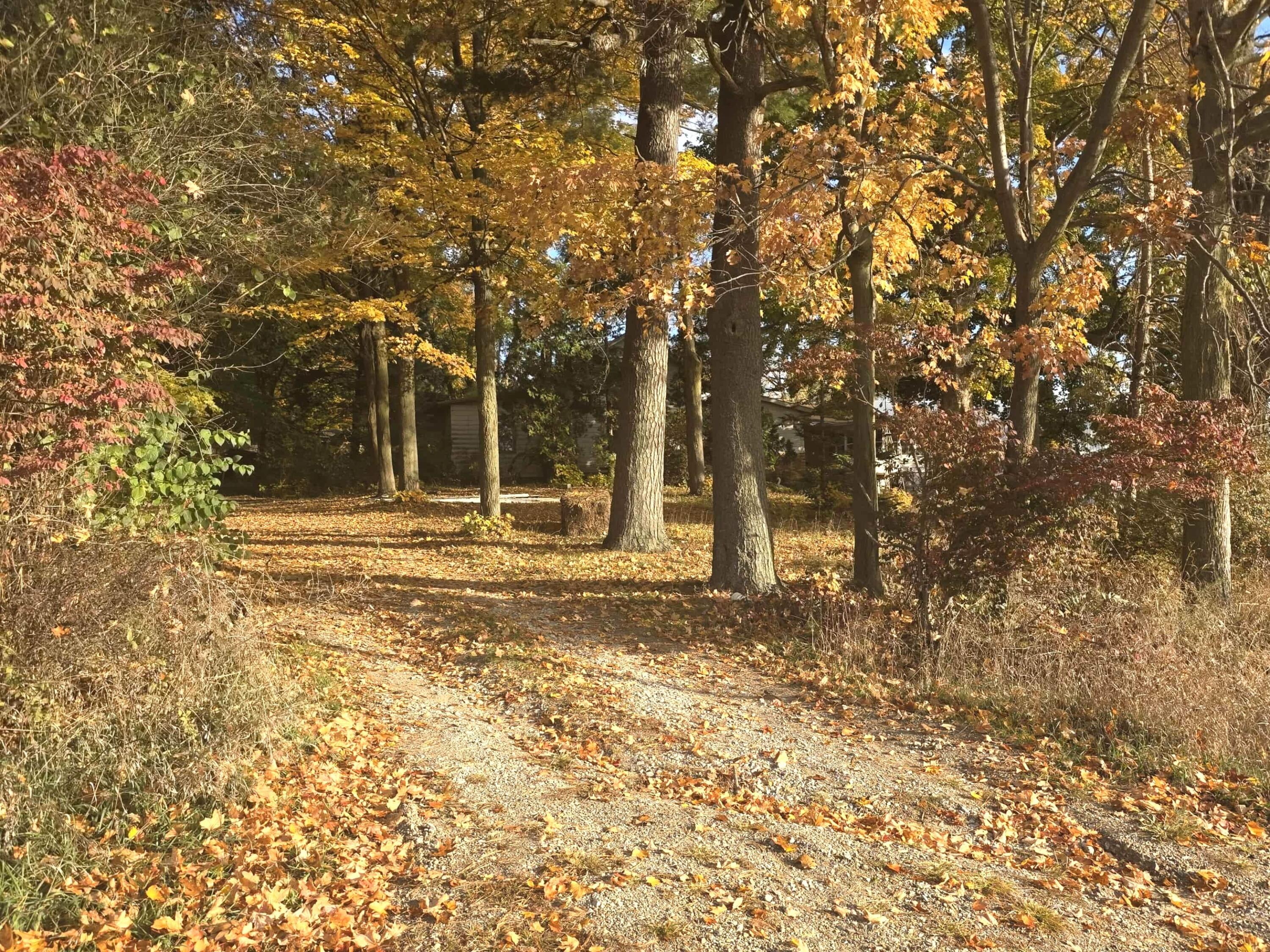 14308 Garber Road Constantine, MI 49042 - Photo 12 of 22 c5c64f2c-00b8-4216-8d9a-0924c4a2a922