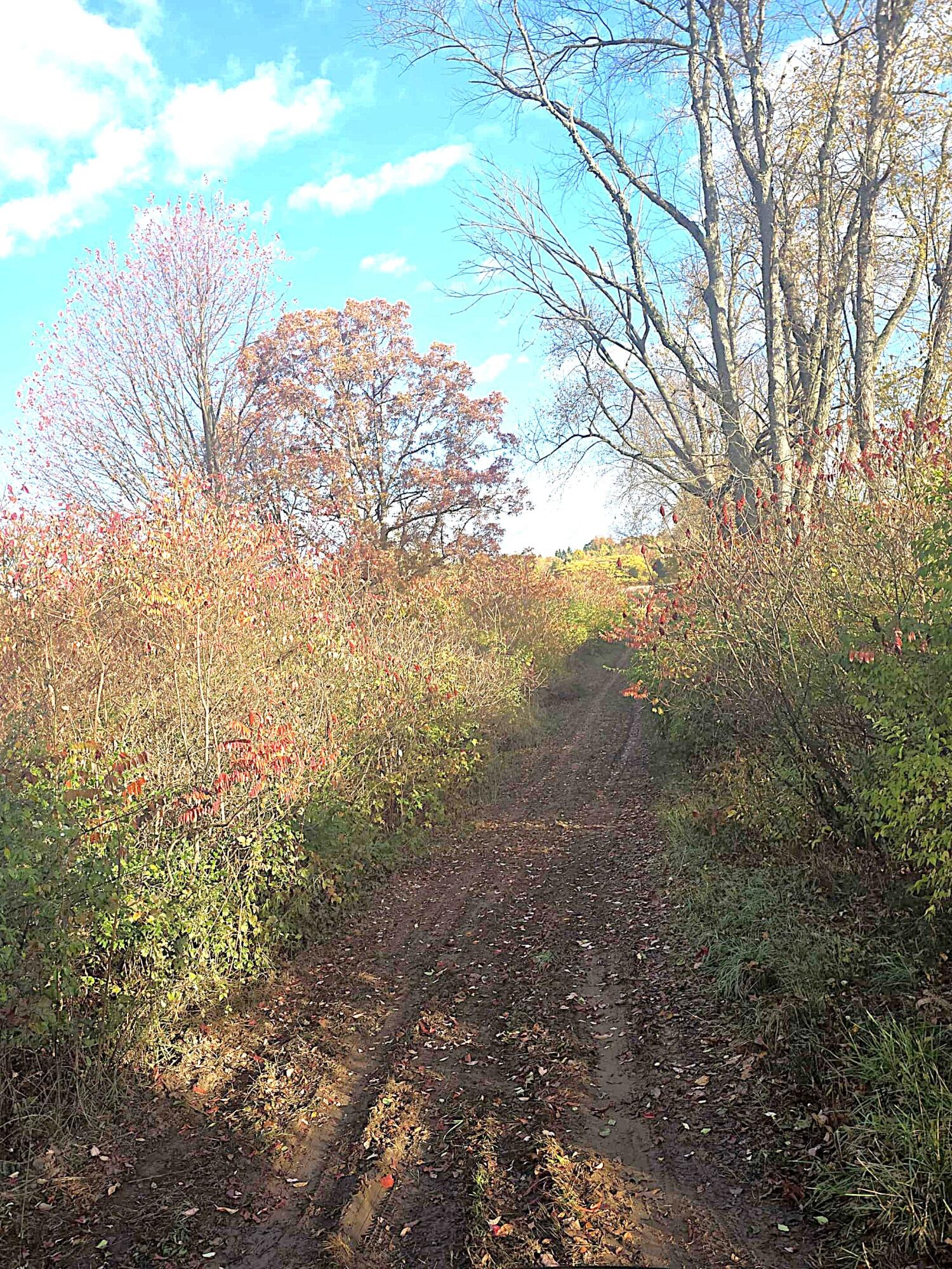 14308 Garber Road Constantine, MI 49042 - Photo 14 of 22 69ac5f82-8758-4d96-9105-3625df694517