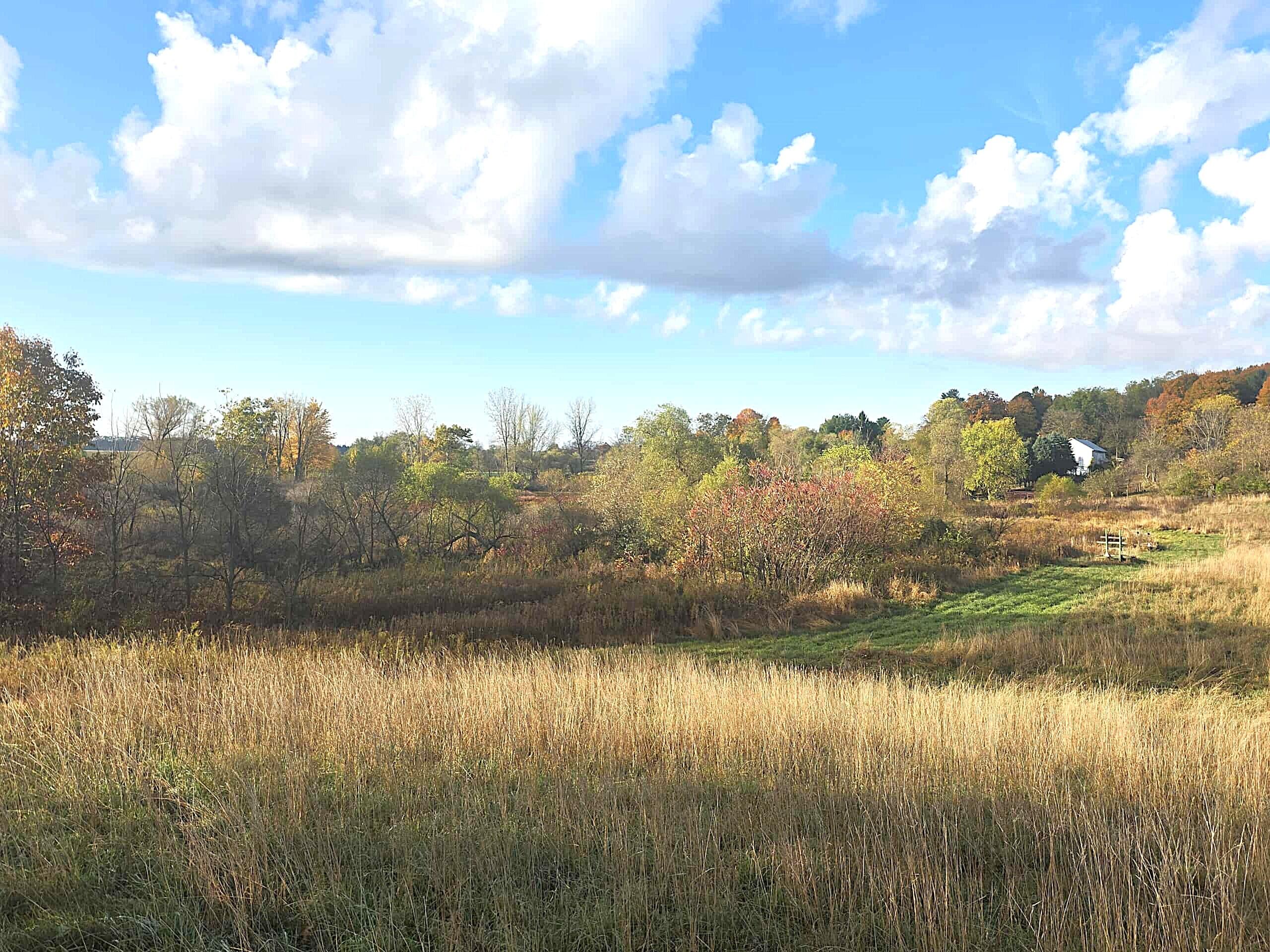 14308 Garber Road Constantine, MI 49042 - Photo 15 of 22 0c8e218e-1a03-4c87-831a-e78dc12e5470