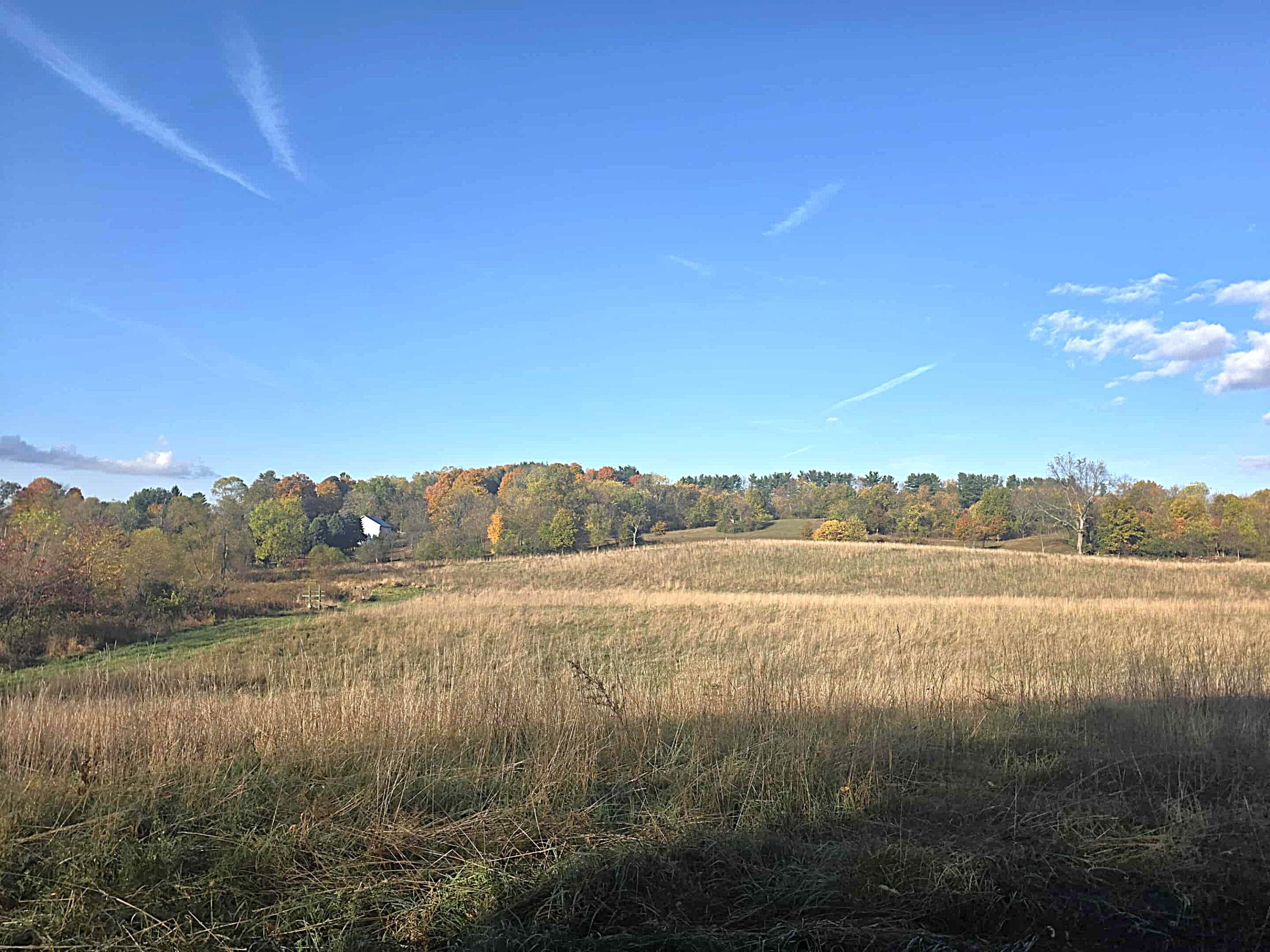 14308 Garber Road Constantine, MI 49042 - Photo 17 of 22 ee66217e-6854-4690-bdf8-6001001cfb7e