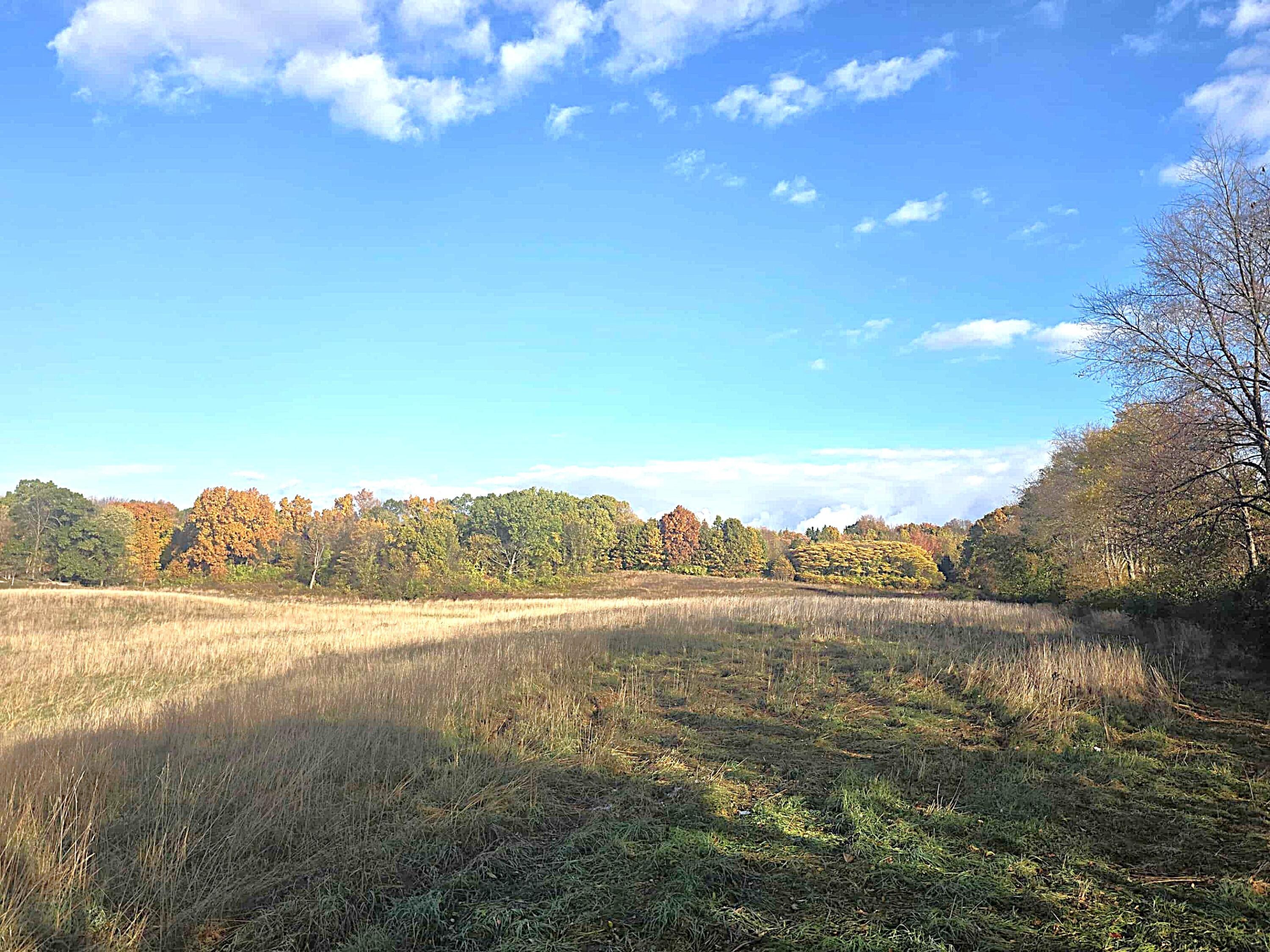 14308 Garber Road Constantine, MI 49042 - Photo 18 of 22 c2060b41-13b1-4aa8-9a4d-89d87b36d8de