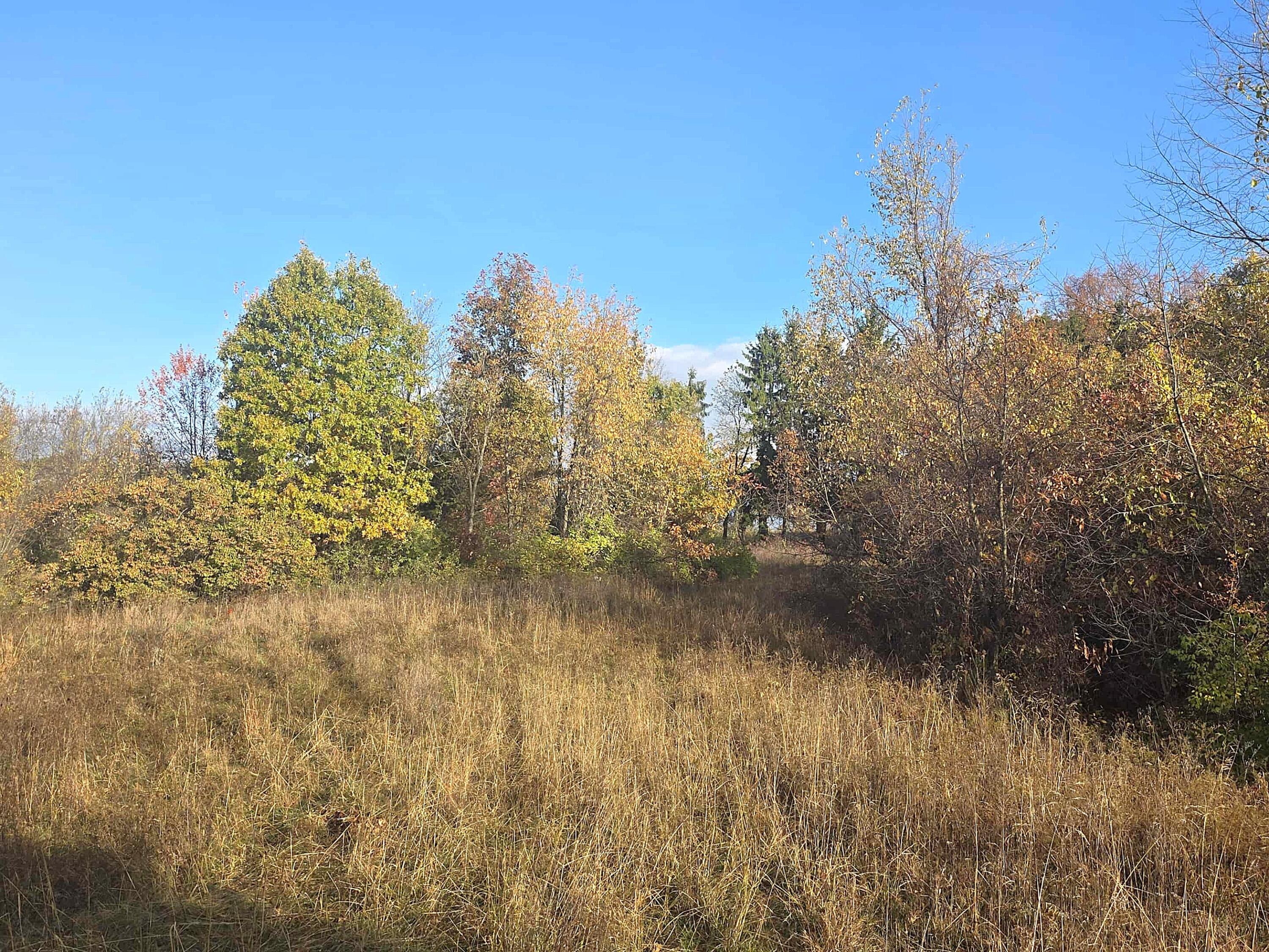 14308 Garber Road Constantine, MI 49042 - Photo 19 of 22 dd7e8e61-18e3-4d07-83a8-c77ebe0c623a