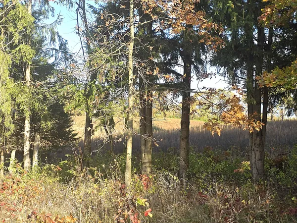 $772,750 | 14308 Garber Road, Constantine, MI 49042